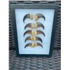 Image 5 : Complete Set of (10) XL BLACK BEAR Front Claws in a Display Case