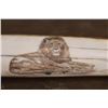 Image 5 : XXL Scrimshawed HIPPOPOTAMUS Tusk Featuring a Lion with a Custom Display Stand
