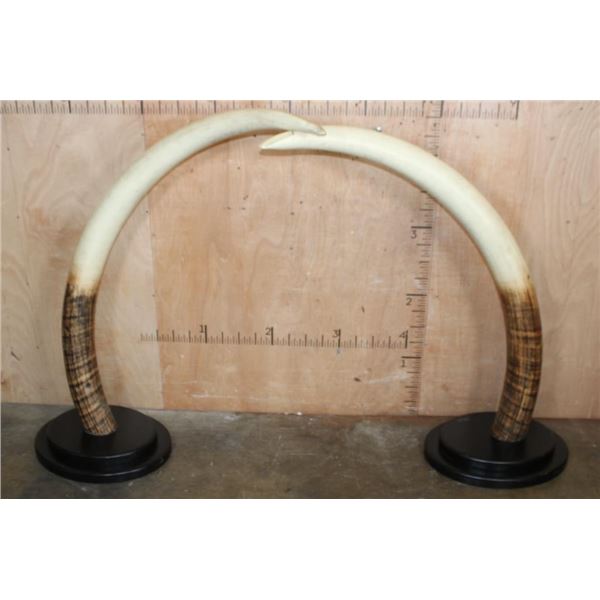 XXL Set of Reproduction ELEPHANT Tusks on Wood Bases