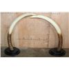 Image 1 : XXL Set of Reproduction ELEPHANT Tusks on Wood Bases