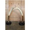 Image 2 : XXL Set of Reproduction ELEPHANT Tusks on Wood Bases