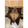 Image 1 : *New* Big BUFFALO HIDE or BISON Hide