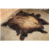 Image 2 : *New* Big BUFFALO HIDE or BISON Hide