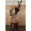 Image 3 : SABLE and ROAN Double Mount on a Wood Pedestal Mount with Hide Panels
