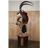 Image 4 : SABLE and ROAN Double Mount on a Wood Pedestal Mount with Hide Panels