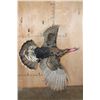 Image 1 : "Flying" TURKEY on a Log Wall Hanging Base