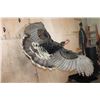 Image 3 : "Flying" TURKEY on a Log Wall Hanging Base