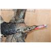 Image 5 : "Flying" TURKEY on a Log Wall Hanging Base