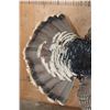 Image 7 : "Flying" TURKEY on a Log Wall Hanging Base