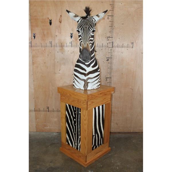 ZEBRA Pedestal Mount with 4 ZEBRA Hide Panels