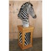 Image 2 : ZEBRA Pedestal Mount with 4 ZEBRA Hide Panels