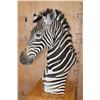 Image 4 : ZEBRA Pedestal Mount with 4 ZEBRA Hide Panels