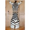 Image 5 : ZEBRA Pedestal Mount with 4 ZEBRA Hide Panels