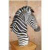 Image 6 : ZEBRA Pedestal Mount with 4 ZEBRA Hide Panels