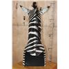 Image 8 : ZEBRA Pedestal Mount with 4 ZEBRA Hide Panels