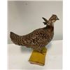 Image 2 : *Rare* PRAIRIE CHICKEN Bird Mount on a Wood Board Base