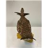 Image 3 : *Rare* PRAIRIE CHICKEN Bird Mount on a Wood Board Base