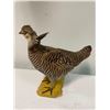 Image 4 : *Rare* PRAIRIE CHICKEN Bird Mount on a Wood Board Base