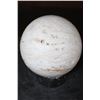 Image 4 : XL PICTURE JASPER Mineral Sphere with an Orthoceras Fossil Stand