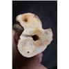 Image 8 : Scrimshawed GIRAFFE Bone Featuring a Giraffe