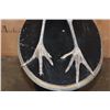 Image 10 : *Rarely Seen* MARABOU STORK on a Wood Plaque Base