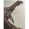 Image 2 : Huge "Flying" Eastern TURKEY Bird Mount with *Rare* and Unique 2 Beards!