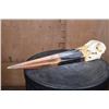 Image 2 : *Rarely Seen* XXL SADDLE BILLED STORK Skull