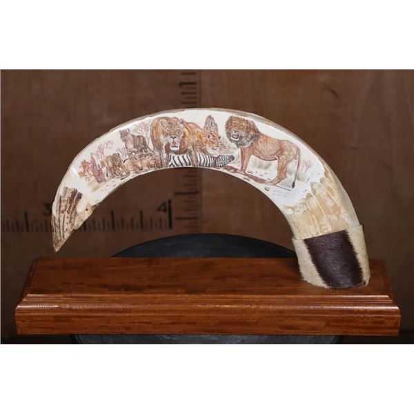 XXL Scrimshawed HIPPOPOTAMUS Tusk with Zebra Hide by Lovemore Loyd of Massina on a Wood Stand
