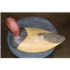 Image 4 : Thomas Burtle Oatman Signed CANVASBACK DRAKE Duck Decoy from 1980