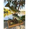 Image 1 : *Real Skin* LARGEMOUTH BASS, CRAPPIE, and BLUEGILL FISH on a Decorative Wood Base