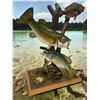 Image 2 : *Real Skin* LARGEMOUTH BASS, CRAPPIE, and BLUEGILL FISH on a Decorative Wood Base