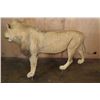 Image 5 : *TEXAS RESIDENTS ONLY* Life-sized AFRICAN LION on Bolts with No Base