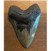 Image 1 : Monster Sized MEGALODON Shark Tooth Fossil Specimen