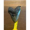 Image 3 : Monster Sized MEGALODON Shark Tooth Fossil Specimen