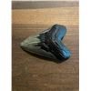 Image 5 : Monster Sized MEGALODON Shark Tooth Fossil Specimen