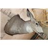 Image 6 : Massive XXL 26-Point Reproduction Rack Mule Deer Shoulder Mount