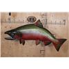 Image 1 : Reproduction KING SALMON Fish Mount from the *Sam Snead Collection*