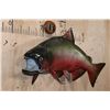 Image 3 : Reproduction KING SALMON Fish Mount from the *Sam Snead Collection*