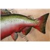 Image 7 : Reproduction KING SALMON Fish Mount from the *Sam Snead Collection*
