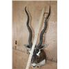 Image 8 : XL BLACKBUCK Shoulder Mount