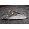 Image 4 : XXL MEGALODON Shark Tooth Fossil Specimen