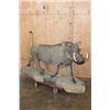 Image 1 : XL Life-sized WARTHOG on a Natural Base