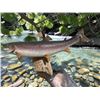 Image 1 : *Real Skin* SALMON Fish Mounted on a Driftwood Backing