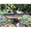 Image 3 : *Real Skin* SALMON Fish Mounted on a Driftwood Backing