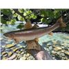 Image 4 : *Real Skin* SALMON Fish Mounted on a Driftwood Backing