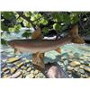 Image 5 : *Real Skin* SALMON Fish Mounted on a Driftwood Backing