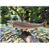 Image 6 : *Real Skin* SALMON Fish Mounted on a Driftwood Backing