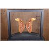 Image 1 : *Brand New* GIANT ATLAS MOTH Specimen in a Glass Display Frame