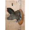 Image 2 : CRESTED GUAN (Chacalaca) Bird Mount on a Fractal Burned Wood Plaque