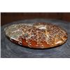 Image 4 : Whole Polished AMMONITE Fossil with Sutures from Madagascar